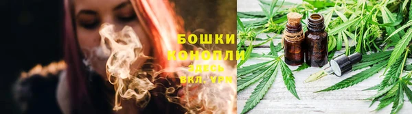 дживик Инта