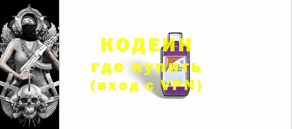 дживик Инта