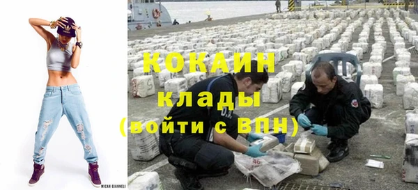 дживик Инта