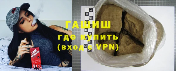 дживик Инта