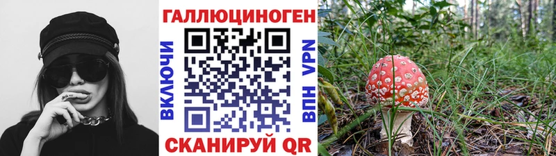 дарнет шоп  Батайск  kraken зеркало  Галлюциногенные грибы Psilocybine cubensis 