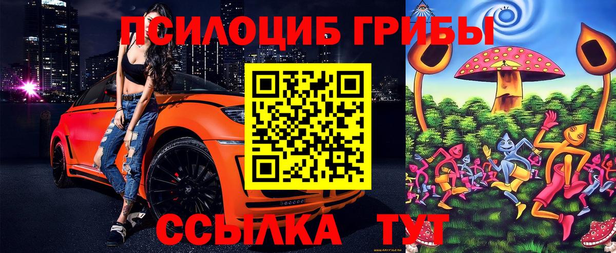 Псилоцибиновые грибы Psilocybe Батайск