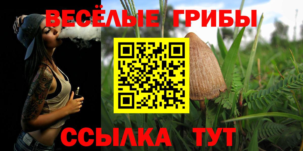Галлюциногенные грибы Psilocybe  Вход с VPN  Псилоцибиновые грибы GOLDEN TEACHER  Батайск 
