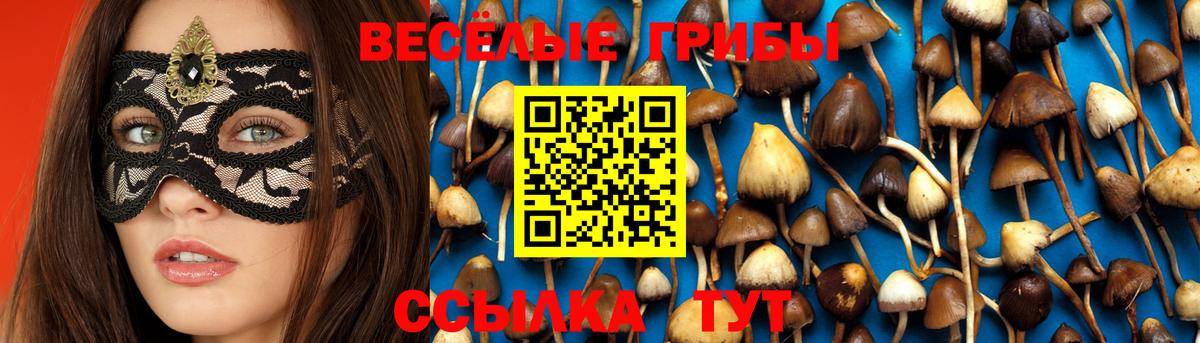 Псилоцибиновые грибы ЛСД  Галлюциногенные грибы Psilocybine cubensis  Батайск 